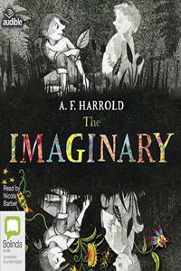 The Imaginary