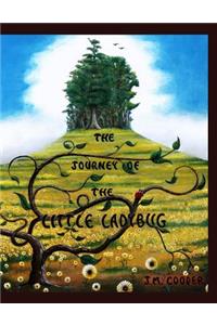 The Journey of the Little Ladybug