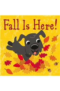 Fall Is Here!
