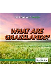 What Are Grasslands?