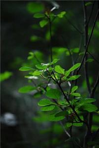 MindBlowing Green journal