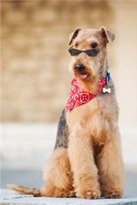 The Airedale Terrier Dog Journal