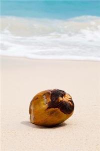 Coconut on the Beach because Coconut on the Beach Journal