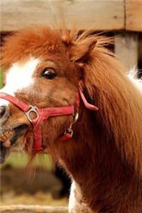 Playful Ponies Notebook