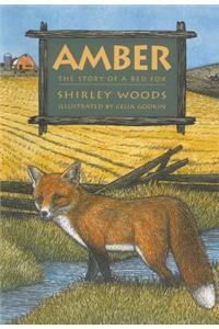 Amber