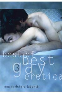 Best of Best Gay Erotica 3