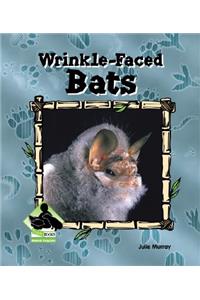 Wrinkle-Faced Bats