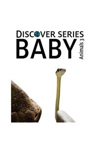 Baby Animals 3