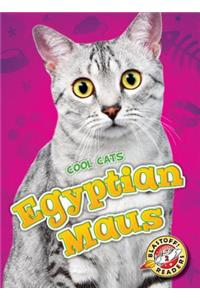 Egyptian Maus