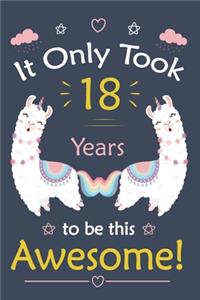 It only Took 18 Years To Be This Awesome!