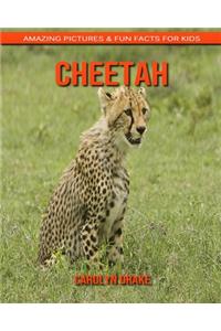 Cheetah