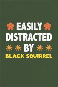 Easily Distracted By Black Squirrel