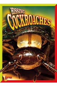 Hissing Cockroaches