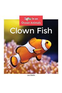 Clown Fish