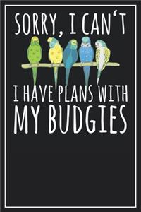 Sorry, I can't I have plans with my Budgies