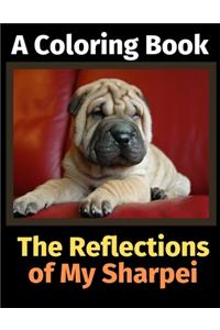 Reflections of My Sharpei