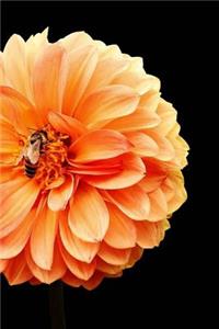 Dahlia Notebook