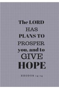 The Lord Has Plans to Prosper You and to Give You Hope