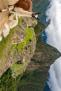 Llama's at Machu Picchu Journal