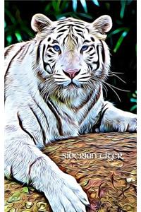 Siberian Tiger