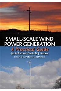 Small-Scale Wind Power Generation