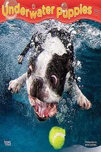Underwater Puppies 2022 Square