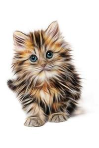 Cute Kitten Notebook