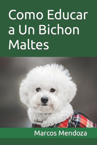 Como Educar a Un Bichon Maltes