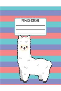 Primary Journal