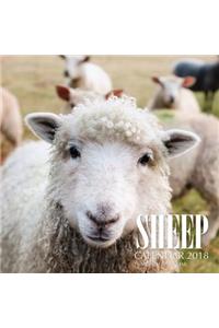 Sheep Calendar 2018