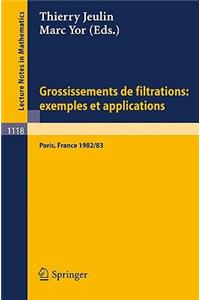 Grossissements de Filtrations: Exemples Et Applications