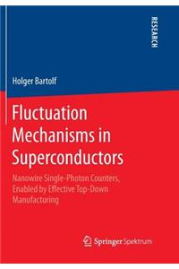 Fluctuation Mechanisms in Superconductors