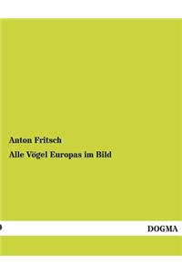 Alle Vogel Europas Im Bild