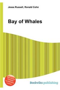 Bay of Whales