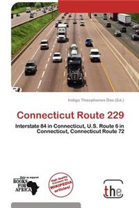 Connecticut Route 229