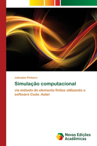 Simulação computacional