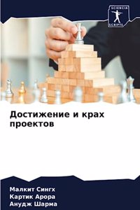Достижение и крах проектов