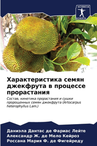 Характеристика семян джекфрута в процес