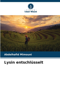 Lysin entschlüsselt