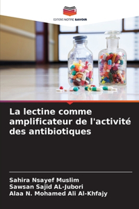 La lectine comme amplificateur de l'activité des antibiotiques