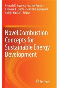 Novel Combustion Concepts for Sustainable Energy Development