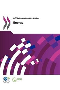 OECD Green Growth Studies Energy