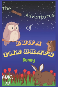 Adventures of LUNA THE BRAVE Bunny