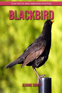 Blackbird