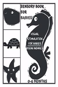 Sensory Book for Babies 0-6 Months - Visual Stimulation for Babies