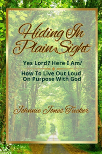 Hiding In Plain Sight - Yes Lord? Here I Am!