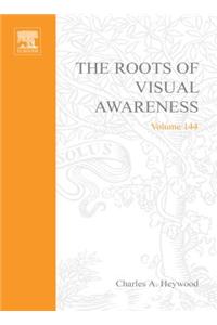 The Roots of Visual Awareness