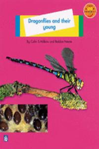 Longman Book Project