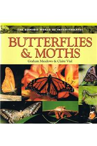 Butterflies & Moths