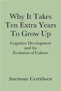 Why It Takes Ten Extra Years To Grow Up